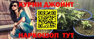 спайс Малгобек